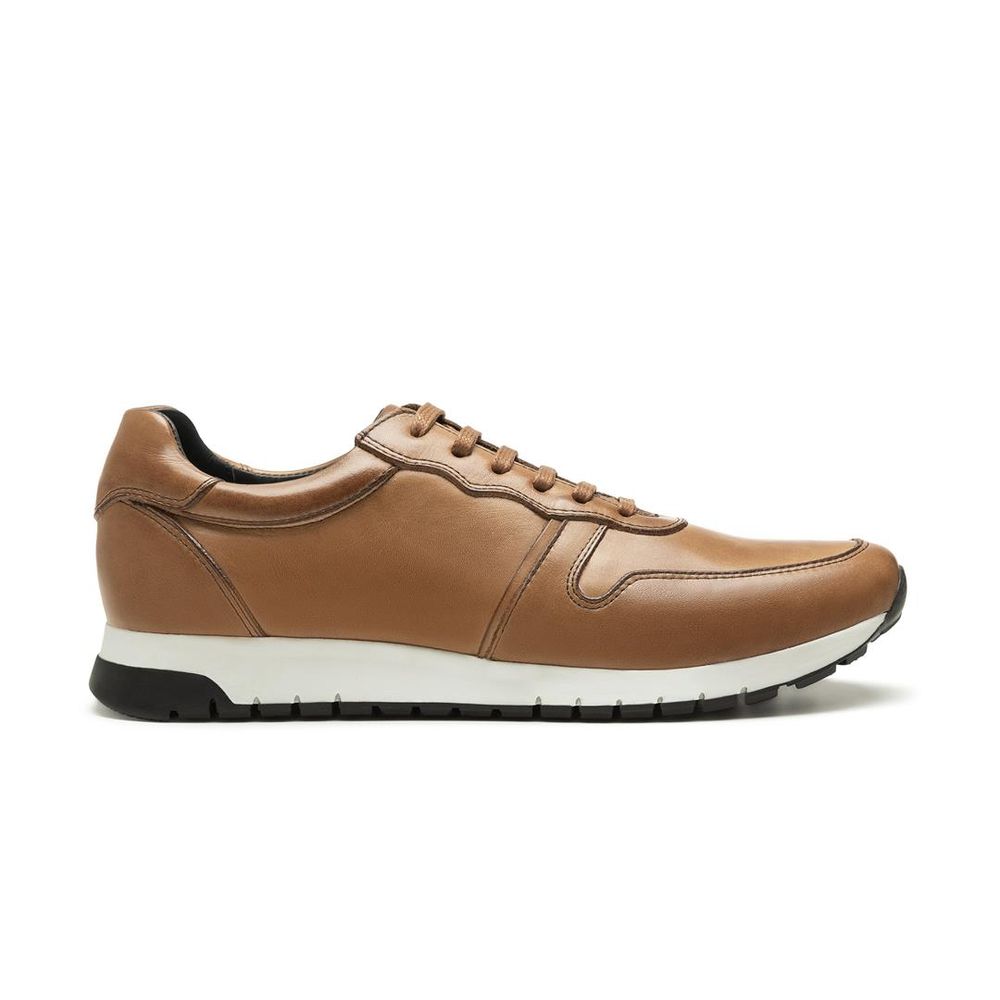 oxford tenis masculino